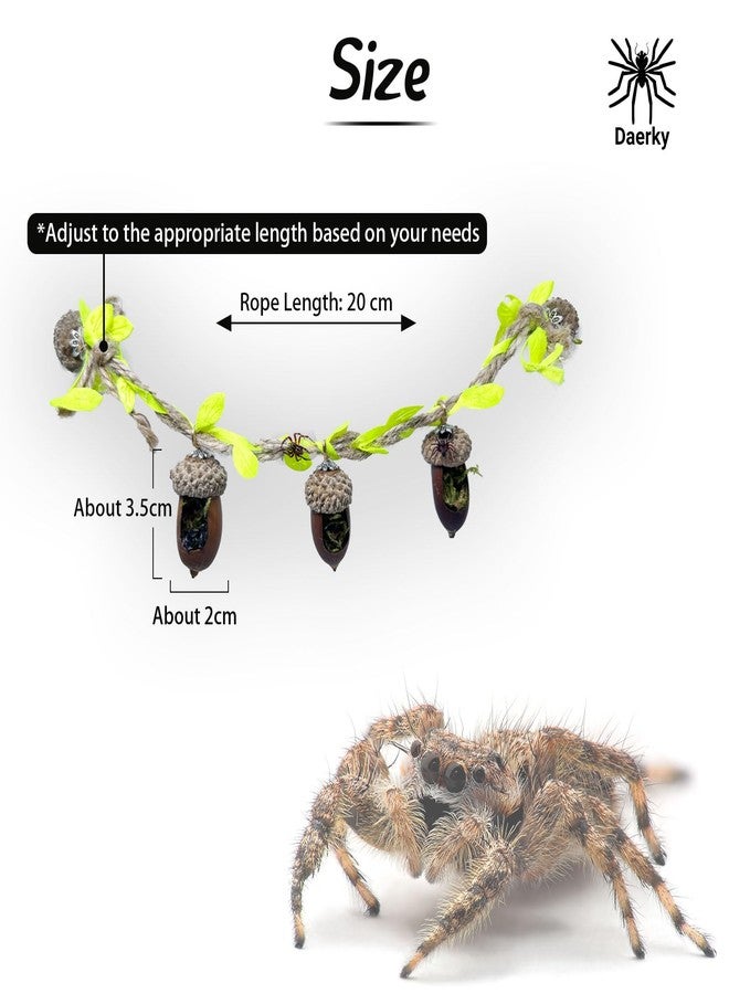 Daerky Jumping Spider Hide, Magnetic Climbing Rope Bridge, Handmade Real Acorn Hideaway Cave, Spider Platform, Decorative Accessory for Small Reptile Enclosures (Style 1) - Image 2